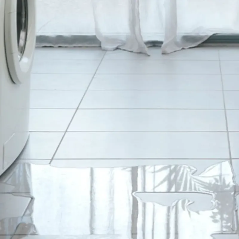 Appliance Leak Cleanup in The Colony, TX