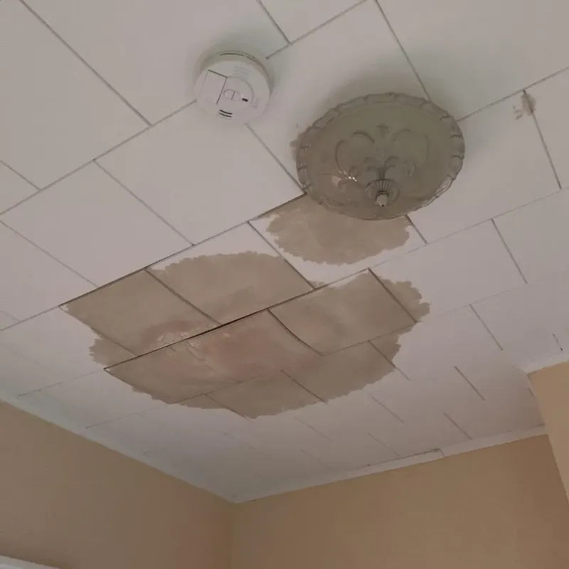 Ceiling Water Damage Repair in The Colony, TX