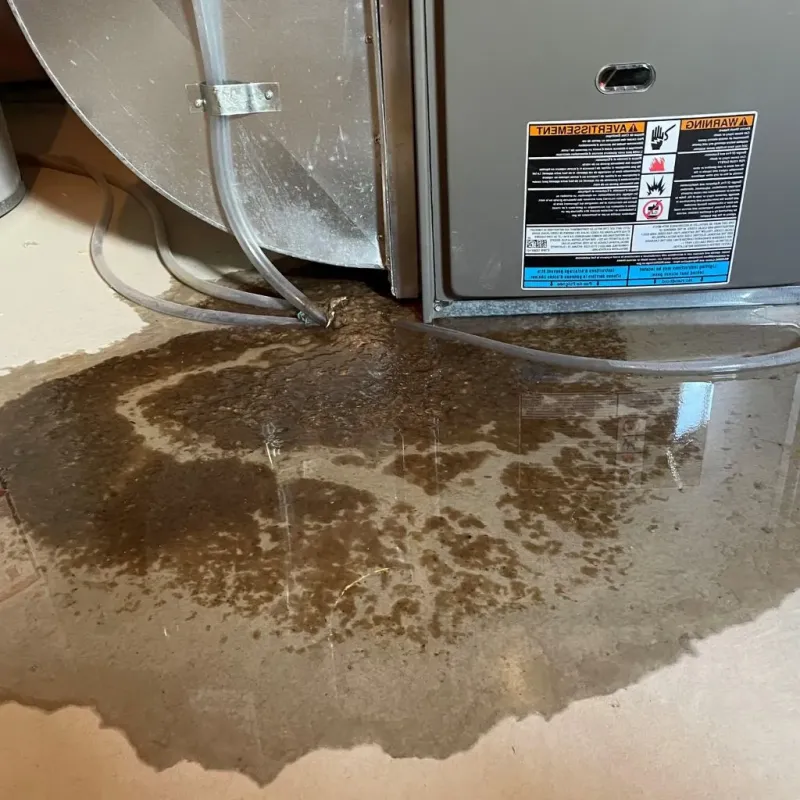 Pipe Burst and Leak Restoration in The Colony, TX