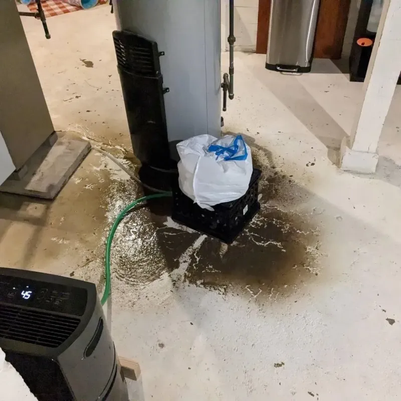 Sewage Backup Cleanup Service in The Colony, TX